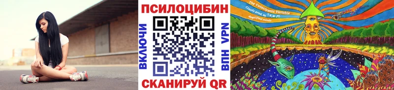 кракен ССЫЛКА Терек Псилоцибиновые грибы ЛСД